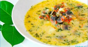 Грибной сливочный суп: рецепт из Италии
