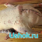 Утка с яблоками в мультиварке — хорошее блюдо для новогоднего стола (утка, яблоками) Утка с яблоками в мультиварке — хорошее блюдо для новогоднего стола