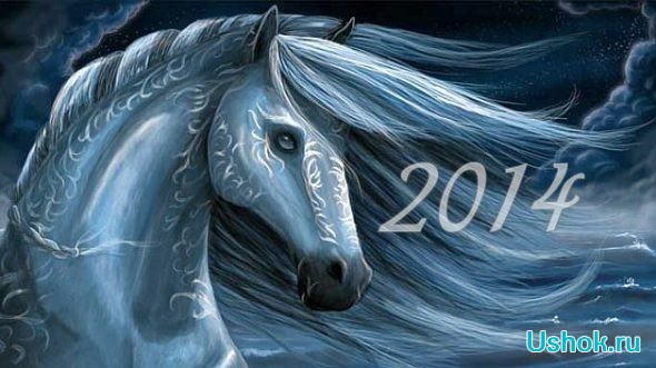 Как встречать год синей лошади и в чем?