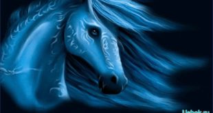 Как встречать год синей лошади и в чем