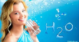 Биологическая роль и значение воды для здоровья человека