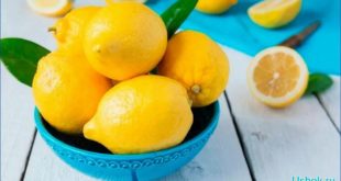 Лимон и его полезные свойства окажут помощь нам