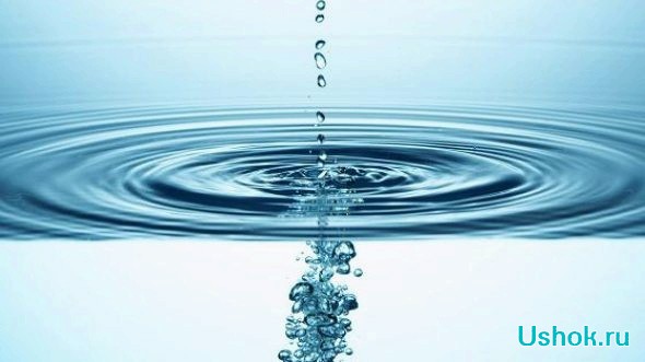 Какая роль воды в организме человека