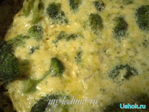 Омлет из капусты брокколи — блюдо для здоровья