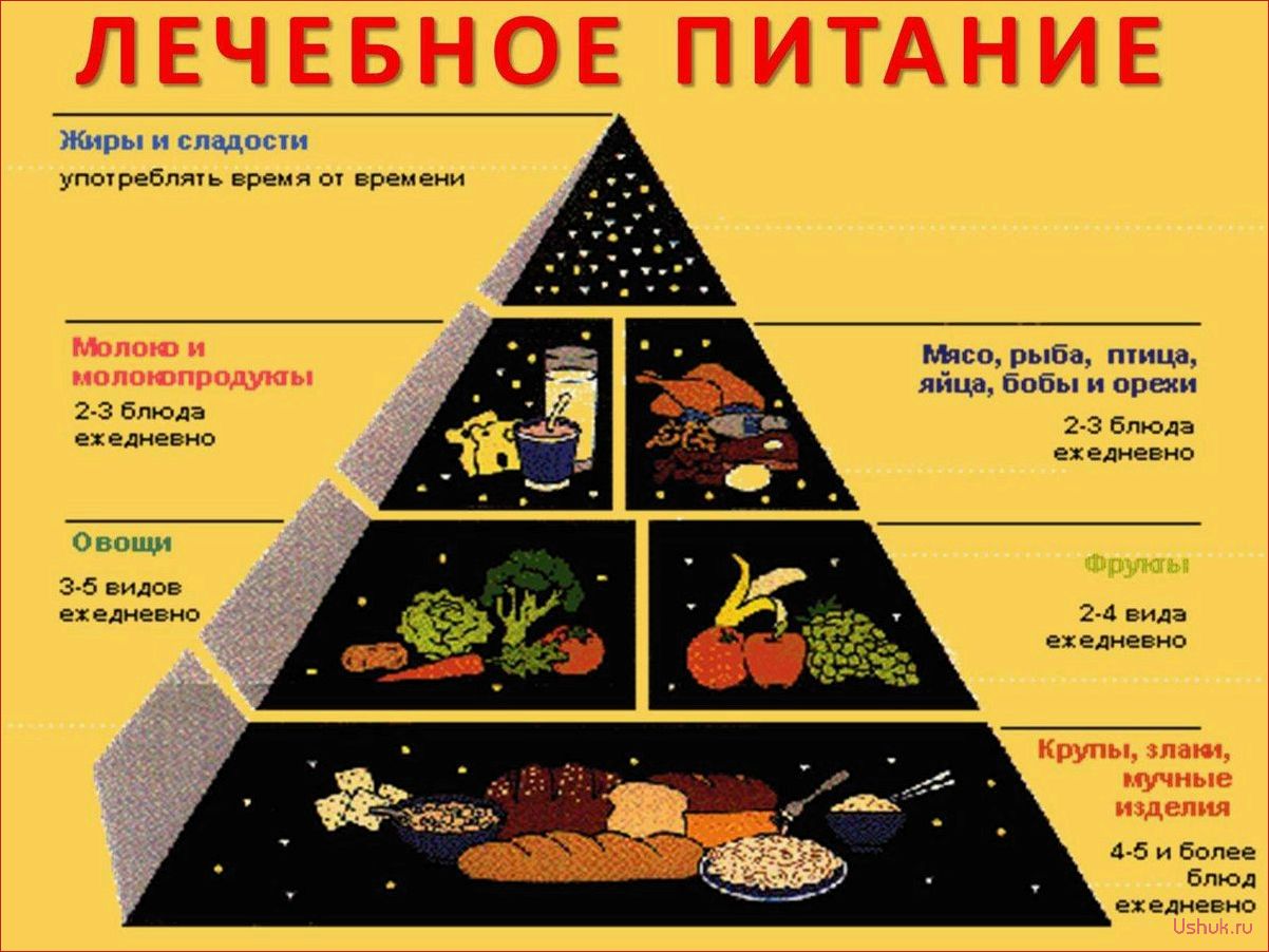 Понятие лечебных диет: основные принципы и примеры меню