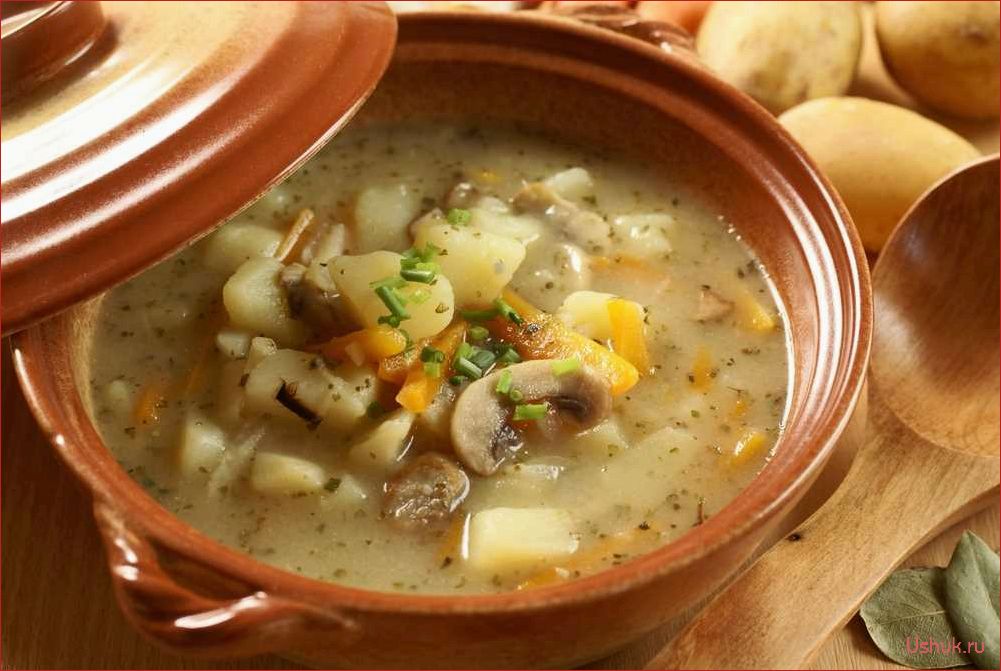 Русский постный суп — традиционный рецепт, полезные свойства и вариации приготовления 