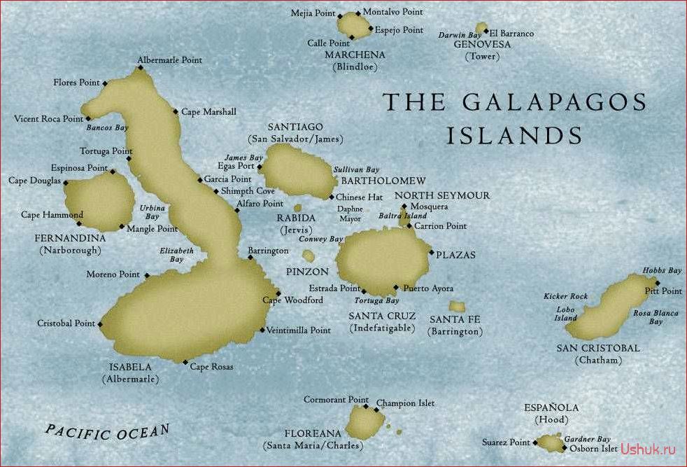 Галапагосские острова: путешествие в уникальный мир природы и туризм