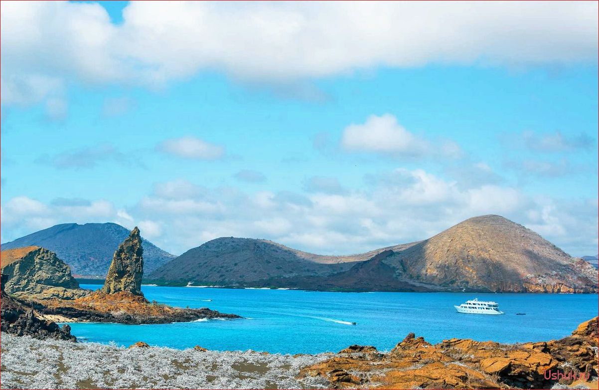 Галапагосские острова: путешествие в уникальный мир природы и туризм