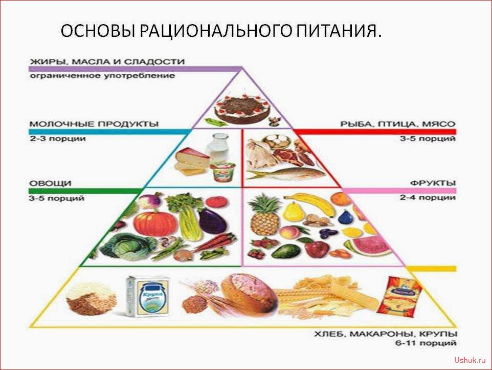 Как начать правильно питаться принципы здорового питания