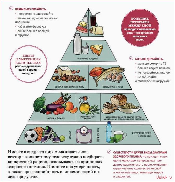 Как начать правильно питаться принципы здорового питания