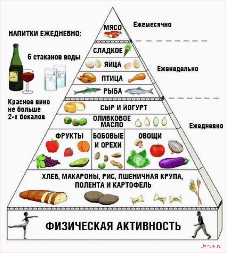 Как начать правильно питаться принципы здорового питания