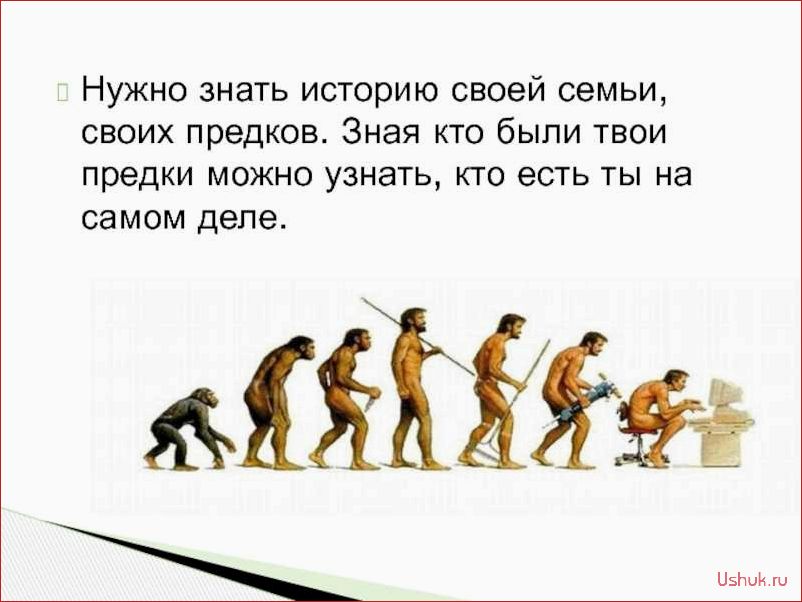 Зачем нужна история в жизни?