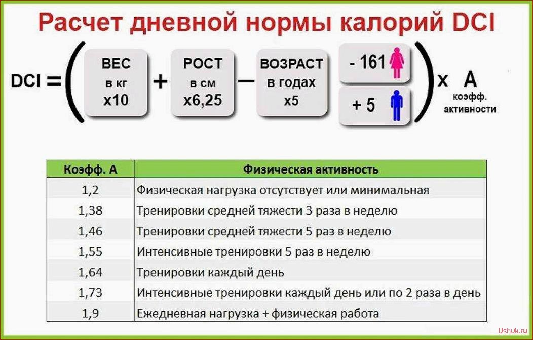 (метод, подсчета, калорий, эффективные, способы) Метод подсчета калорий: эффективные способы контроля питания