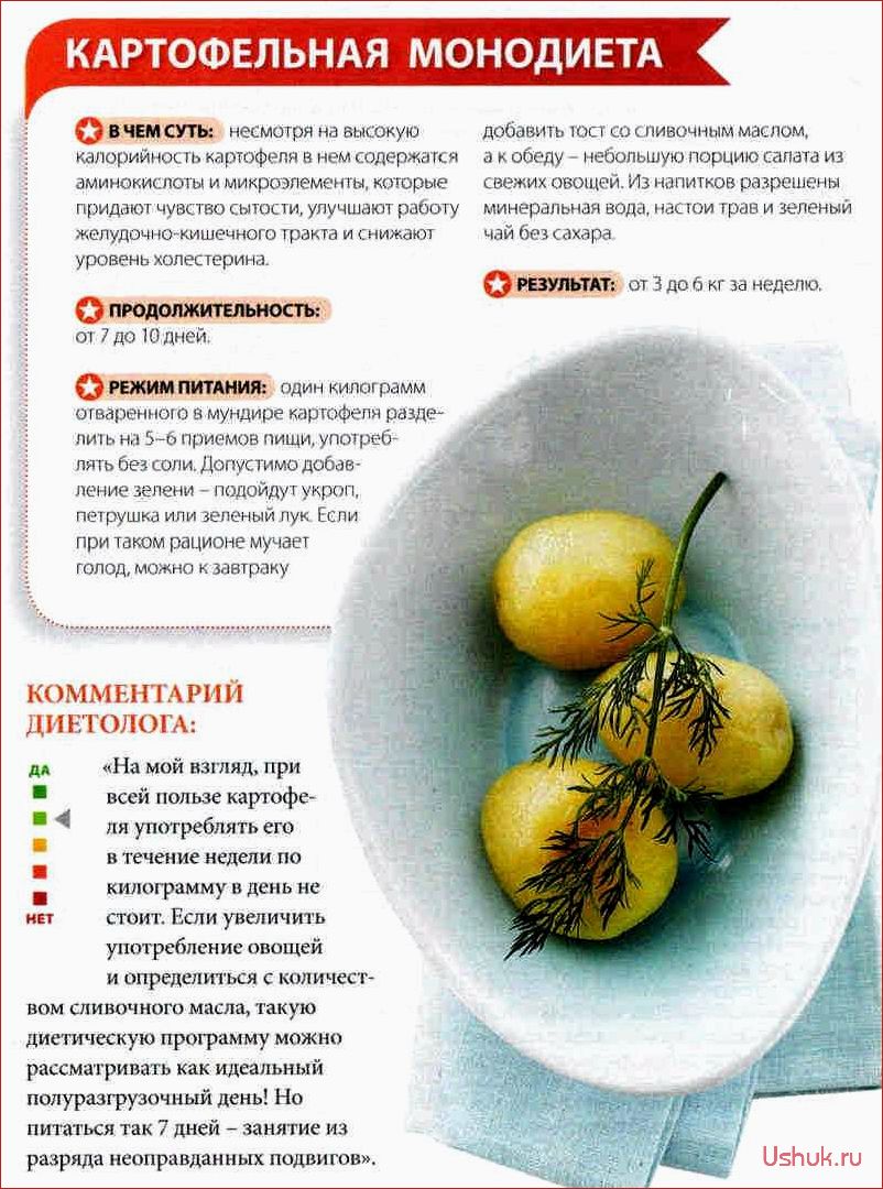 (монодиеты, преимущества, риски) Монодиеты: преимущества и риски
