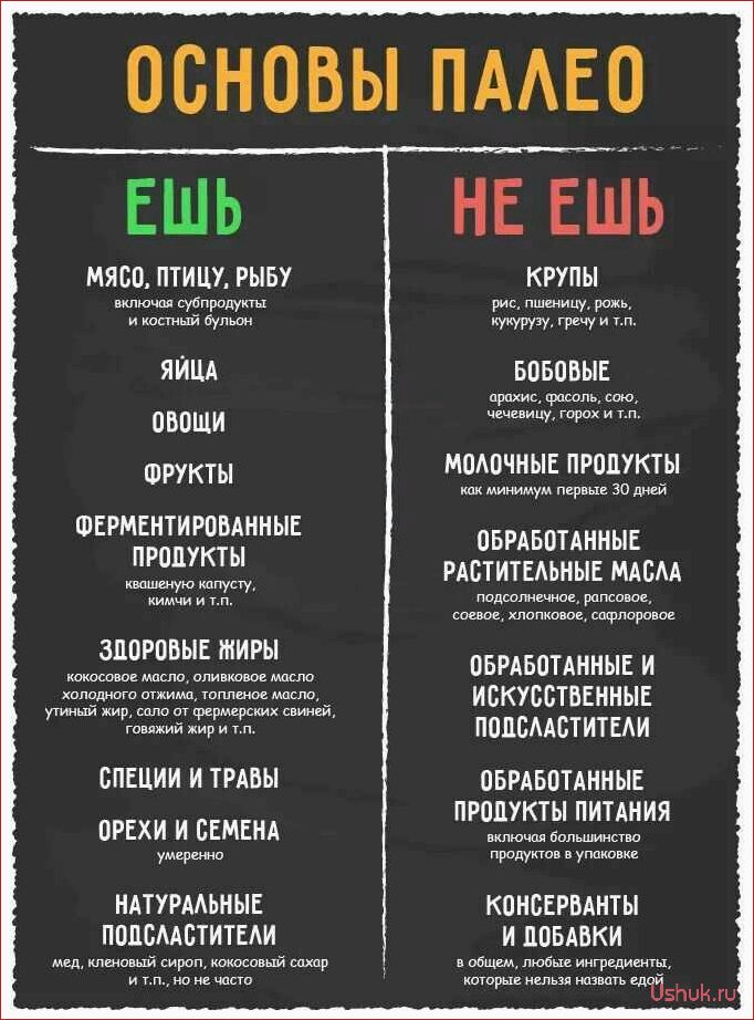 (палеодиета, принципы, польза, рекомендации) Палеодиета: принципы, польза и рекомендации