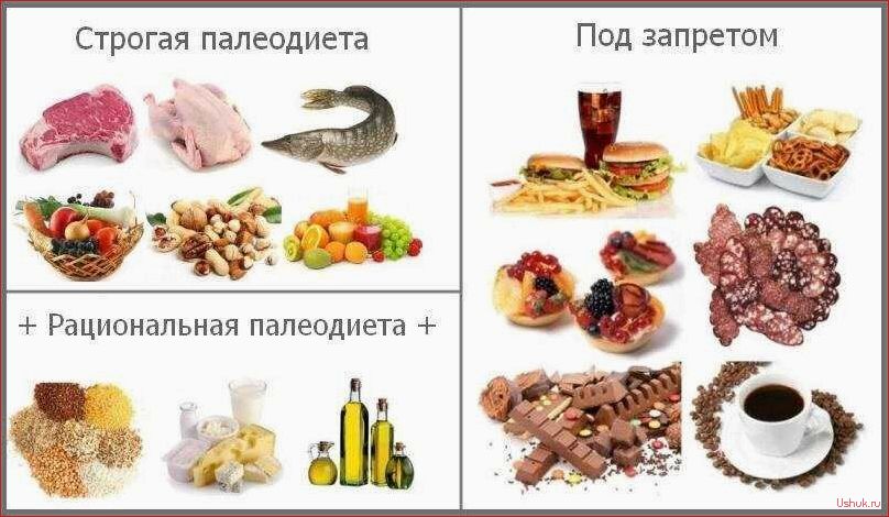 (палеодиета, принципы, польза, рекомендации) Палеодиета: принципы, польза и рекомендации